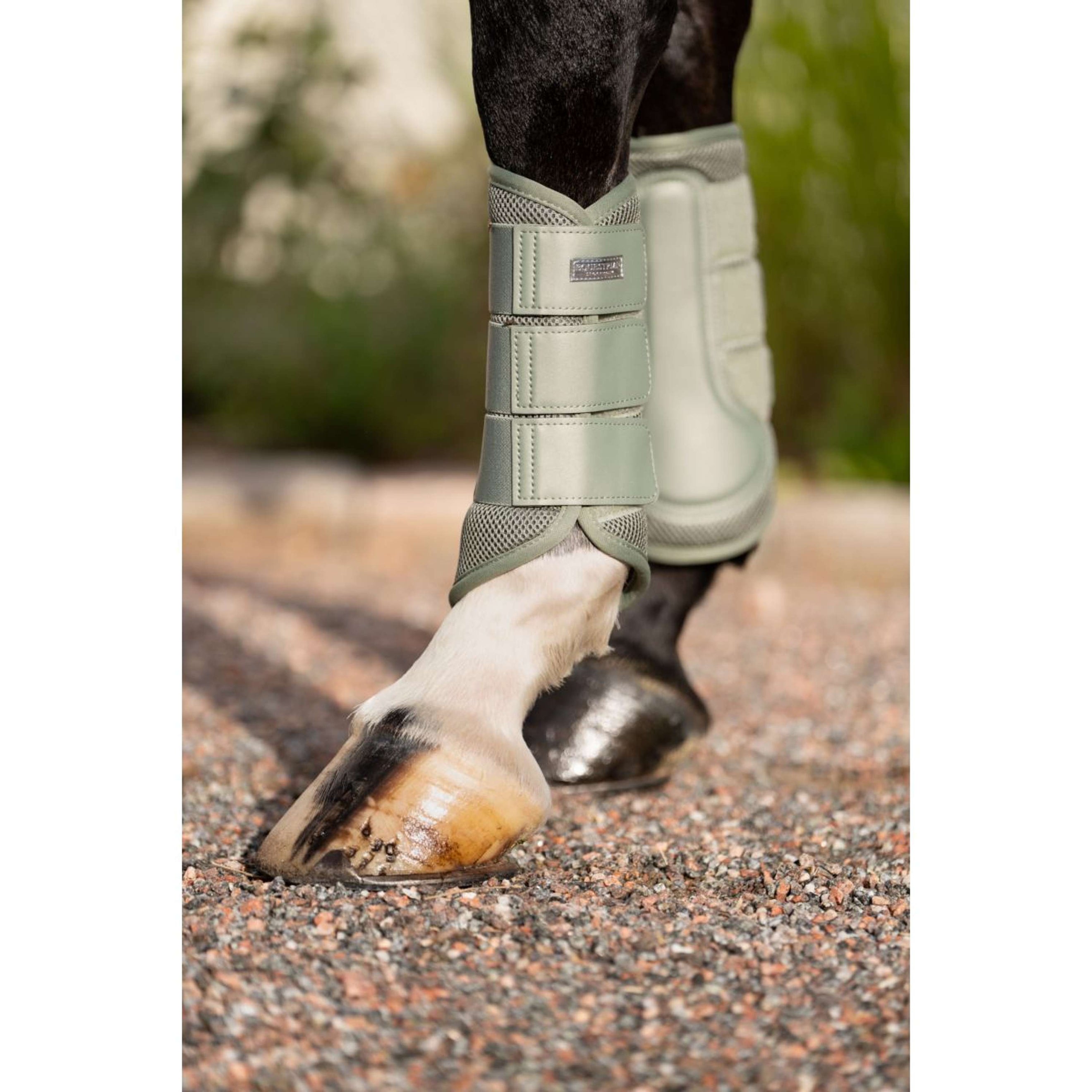 Equestrian Stockholm Protectores de piernas Classic Mesh Pistachio White Equestrian Stockholm Protectores de piernas Classic Mesh Pistachio White