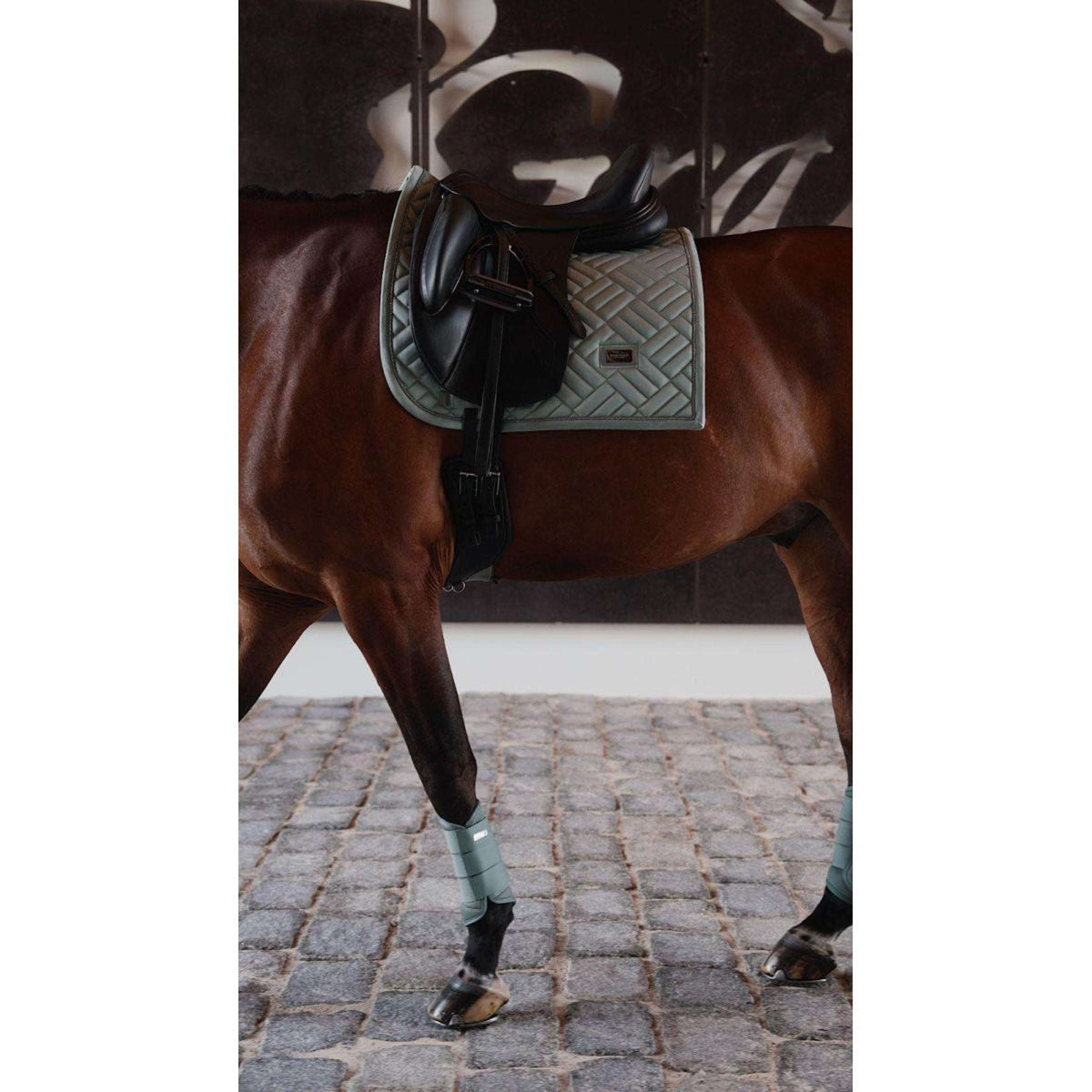 Equestrian Stockholm Mantilla Modern Doma clásica Mint Green