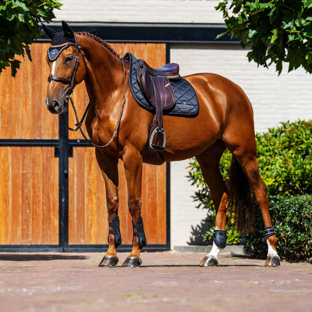 Equestrian Stockholm Mantilla Line saltando Negro