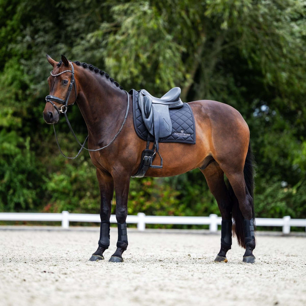 Equestrian Stockholm Mantilla Line Doma clásica Negro