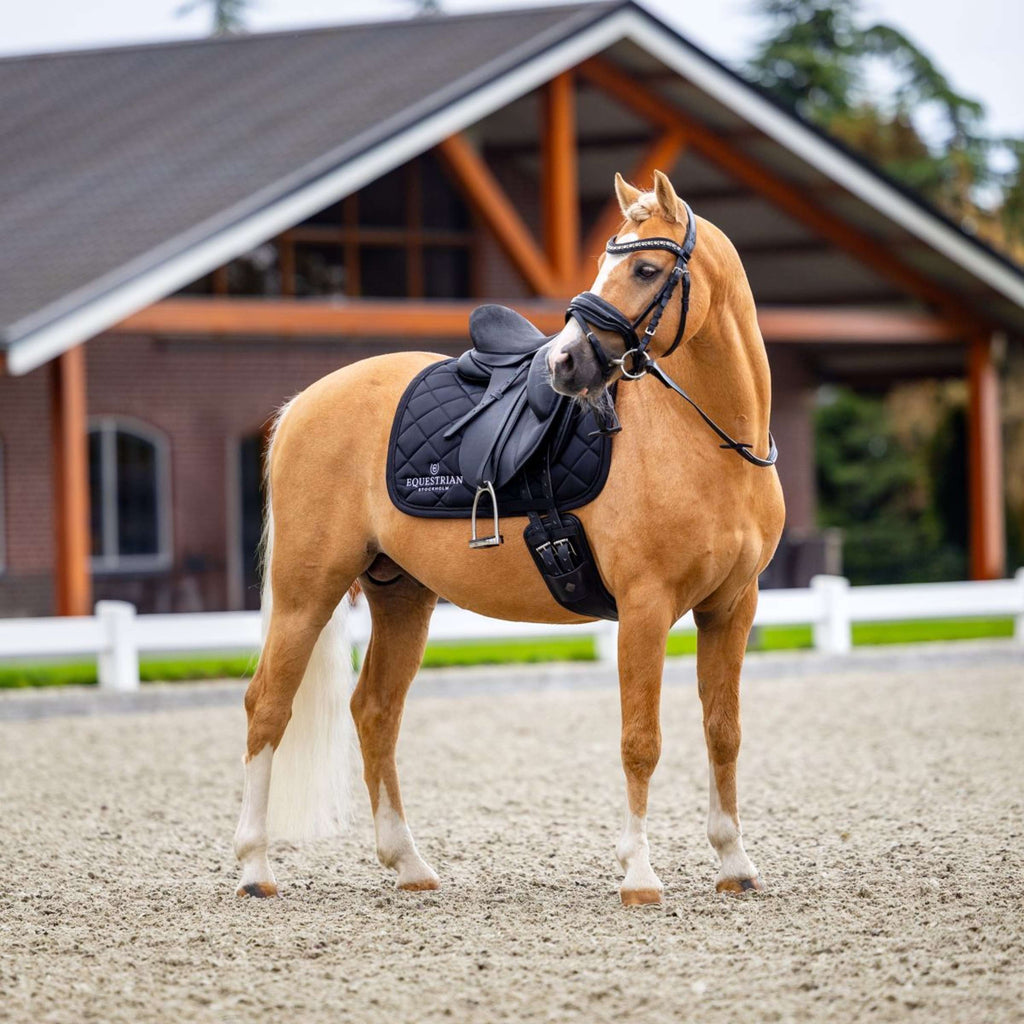 Equestrian Stockholm Mantilla Line Doma clásica Negro
