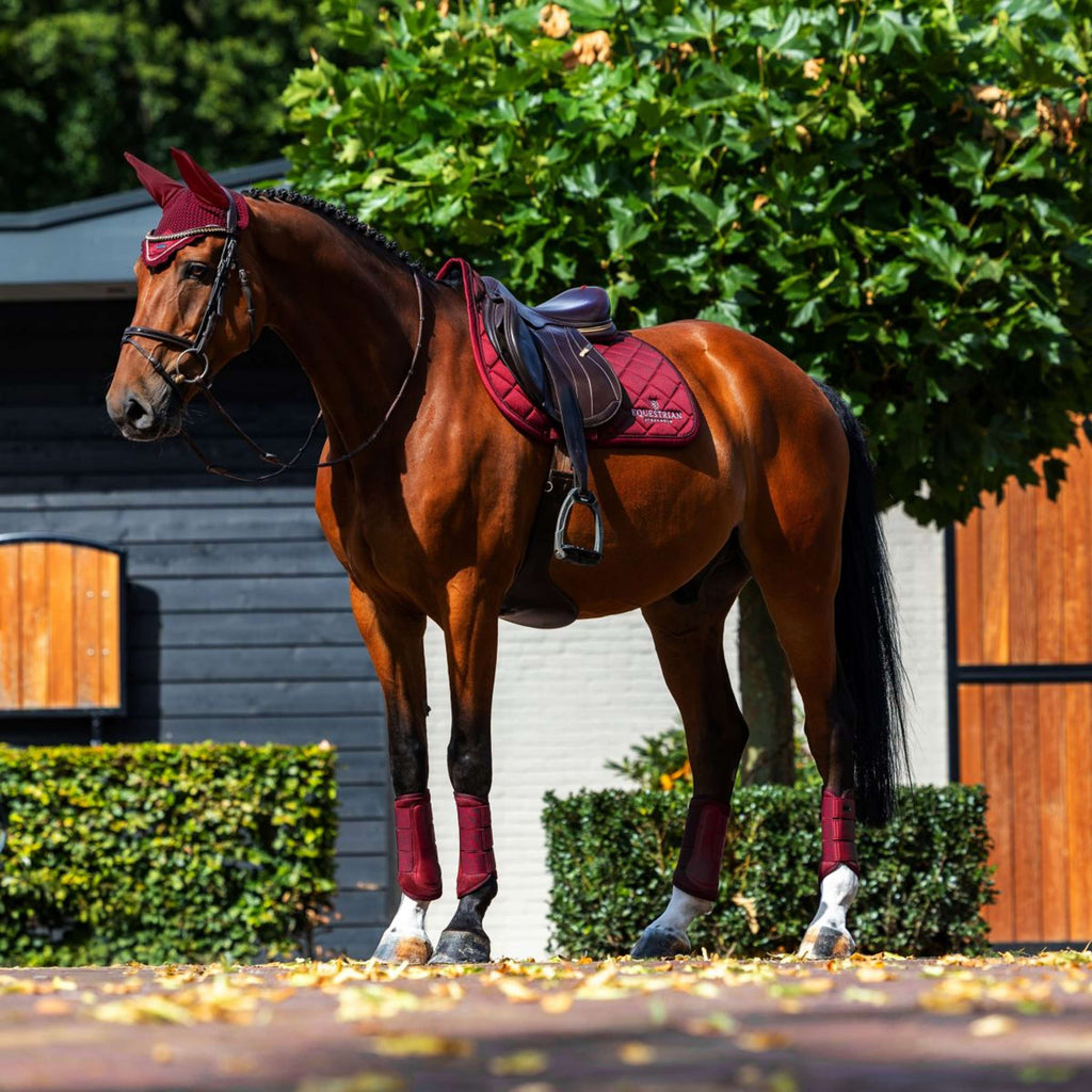 Equestrian Stockholm Mantilla Line saltando Bordeaux