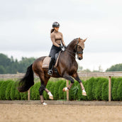 Equestrian Stockholm Mantilla Line Doma clásica Champagne