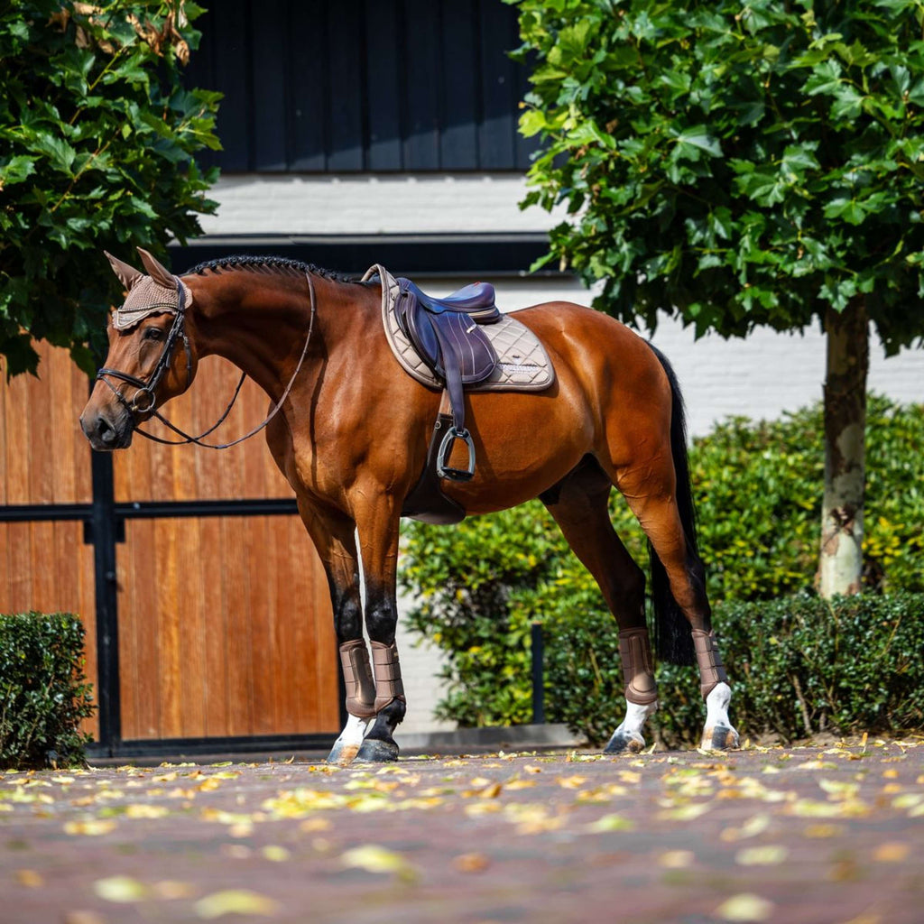 Equestrian Stockholm Mantilla Line saltando Champagne