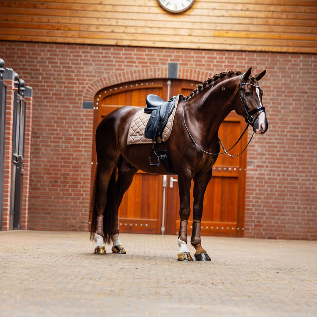 Equestrian Stockholm Mantilla Line Doma clásica Champagne