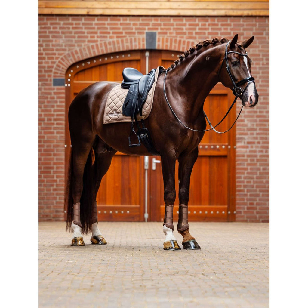 Equestrian Stockholm Protectores de piernas Classic Mesh Champagne