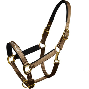 Equestrian Stockholm Cabestro Line Champagne Equestrian Stockholm Cabestro Line Champagne