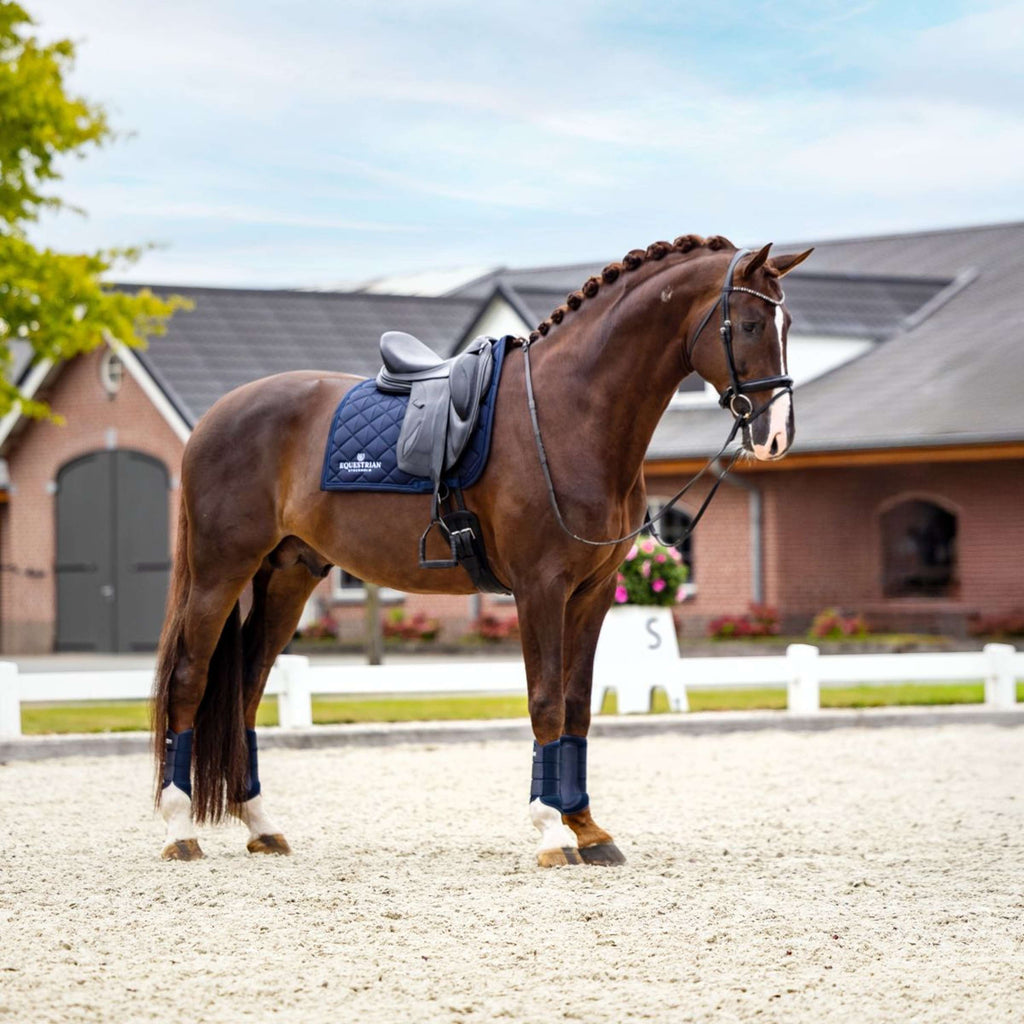 Equestrian Stockholm Mantilla Line Doma clásica Navy