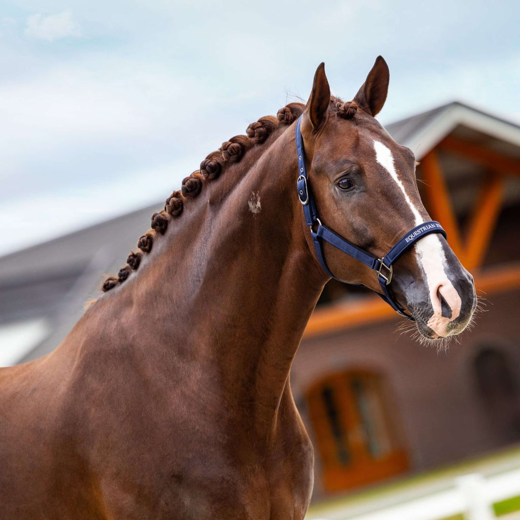 Equestrian Stockholm Cabestro Line Navy