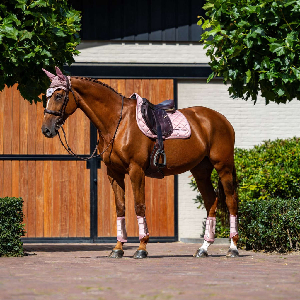 Equestrian Stockholm Mantilla Line saltando Rosa