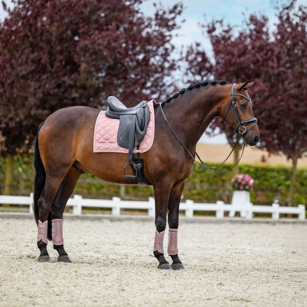 Equestrian Stockholm Mantilla Line Doma clásica Rosa