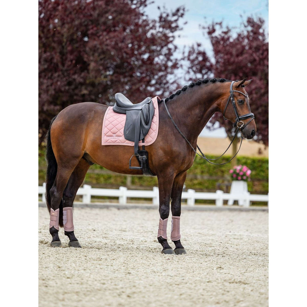 Equestrian Stockholm Protectores de piernas Classic Mesh Rosa