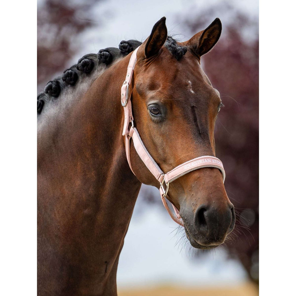 Equestrian Stockholm Cabestro Line Rosa
