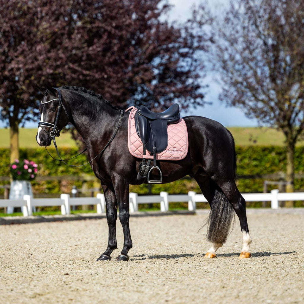 Equestrian Stockholm Mantilla Line Doma clásica Rosa