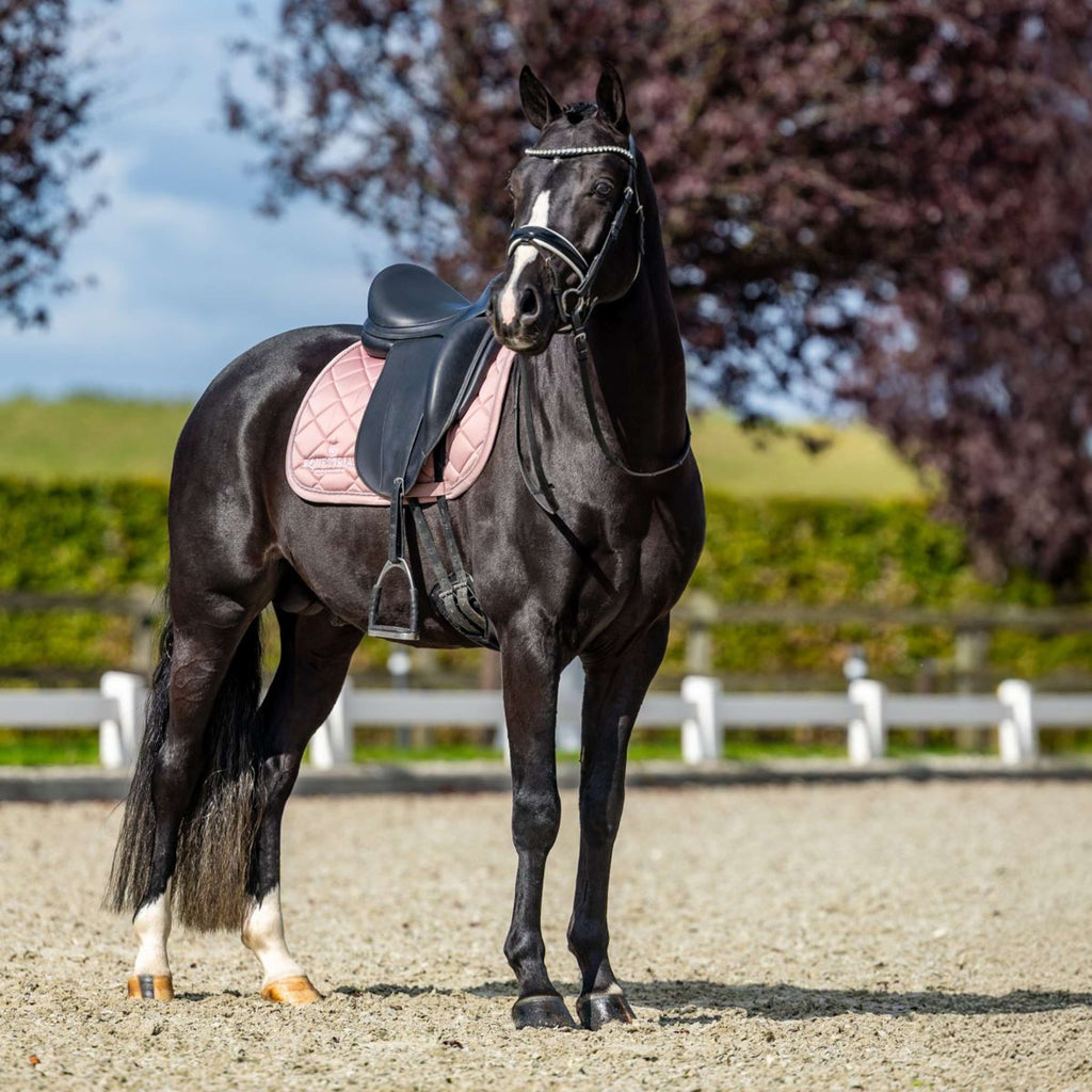 Equestrian Stockholm Mantilla Line Doma clásica Rosa