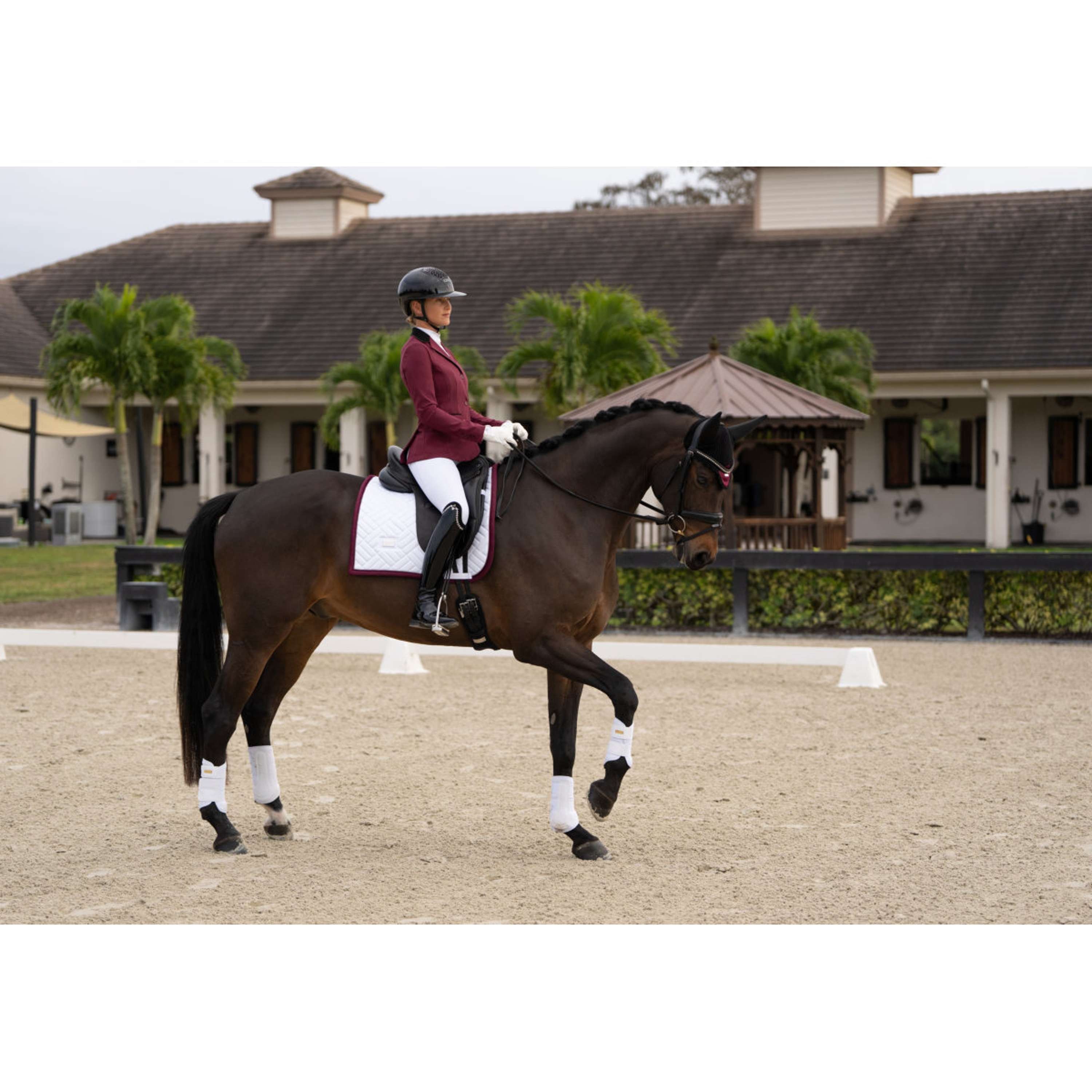 Equestrian Stockholm Chaqueta de Competición Classic Merlot