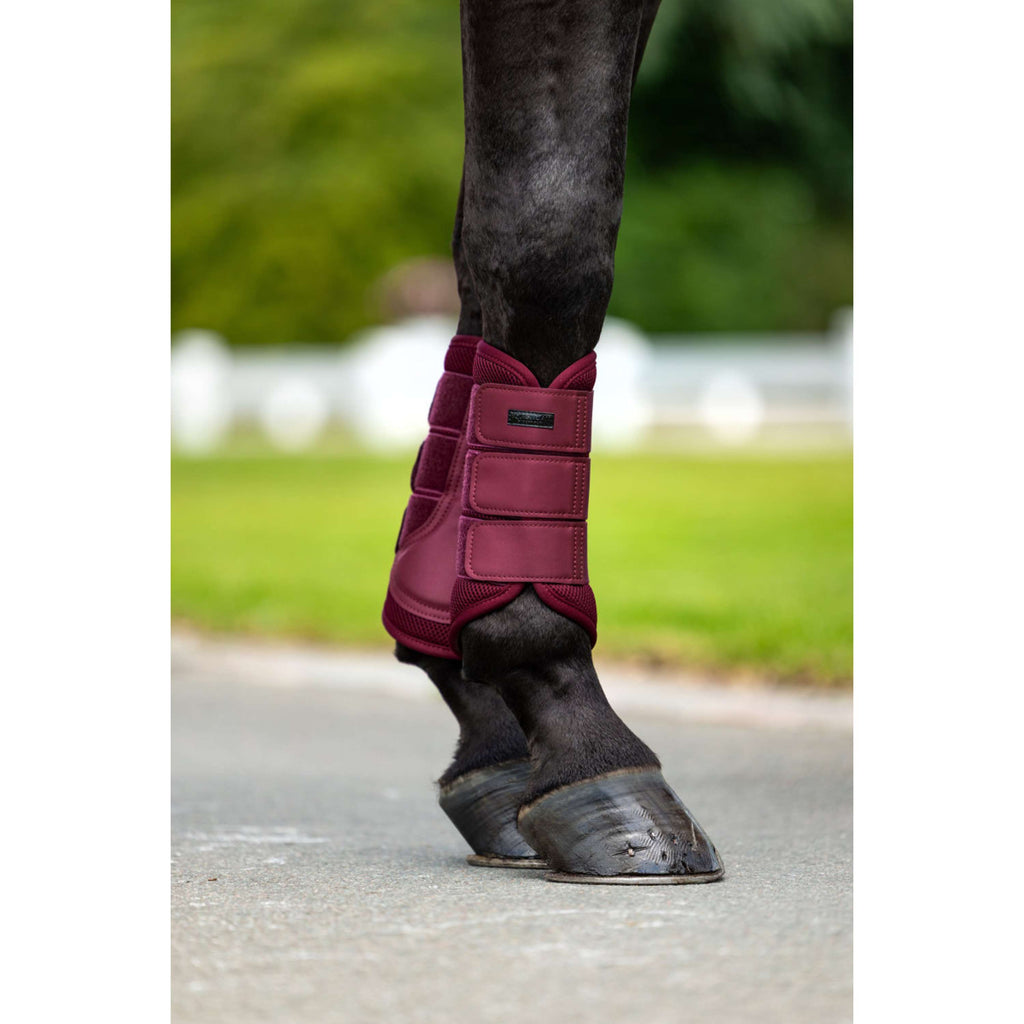 Equestrian Stockholm Protectores de piernas Mesh Merlot