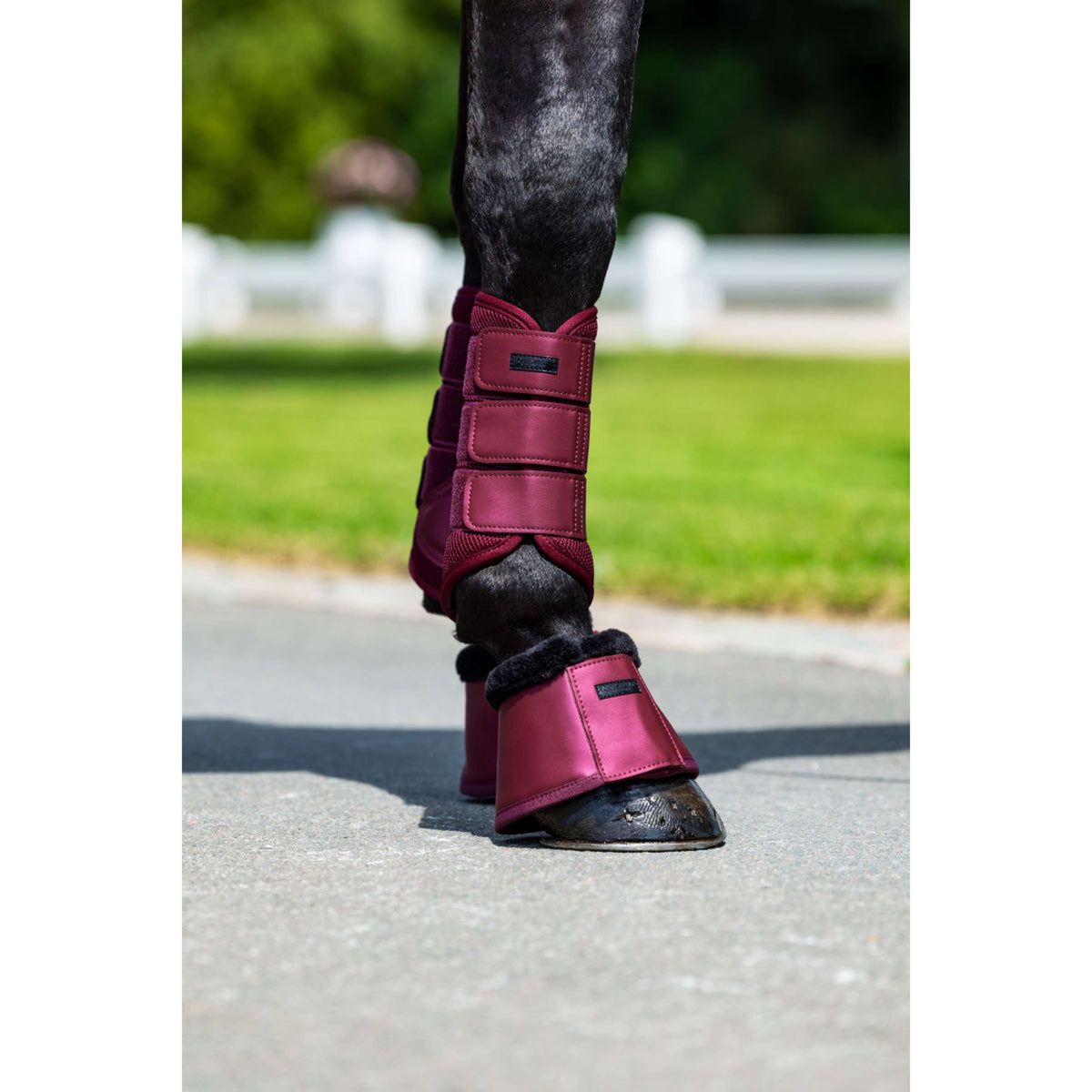 Equestrian Stockholm Protectores de piernas Mesh Merlot