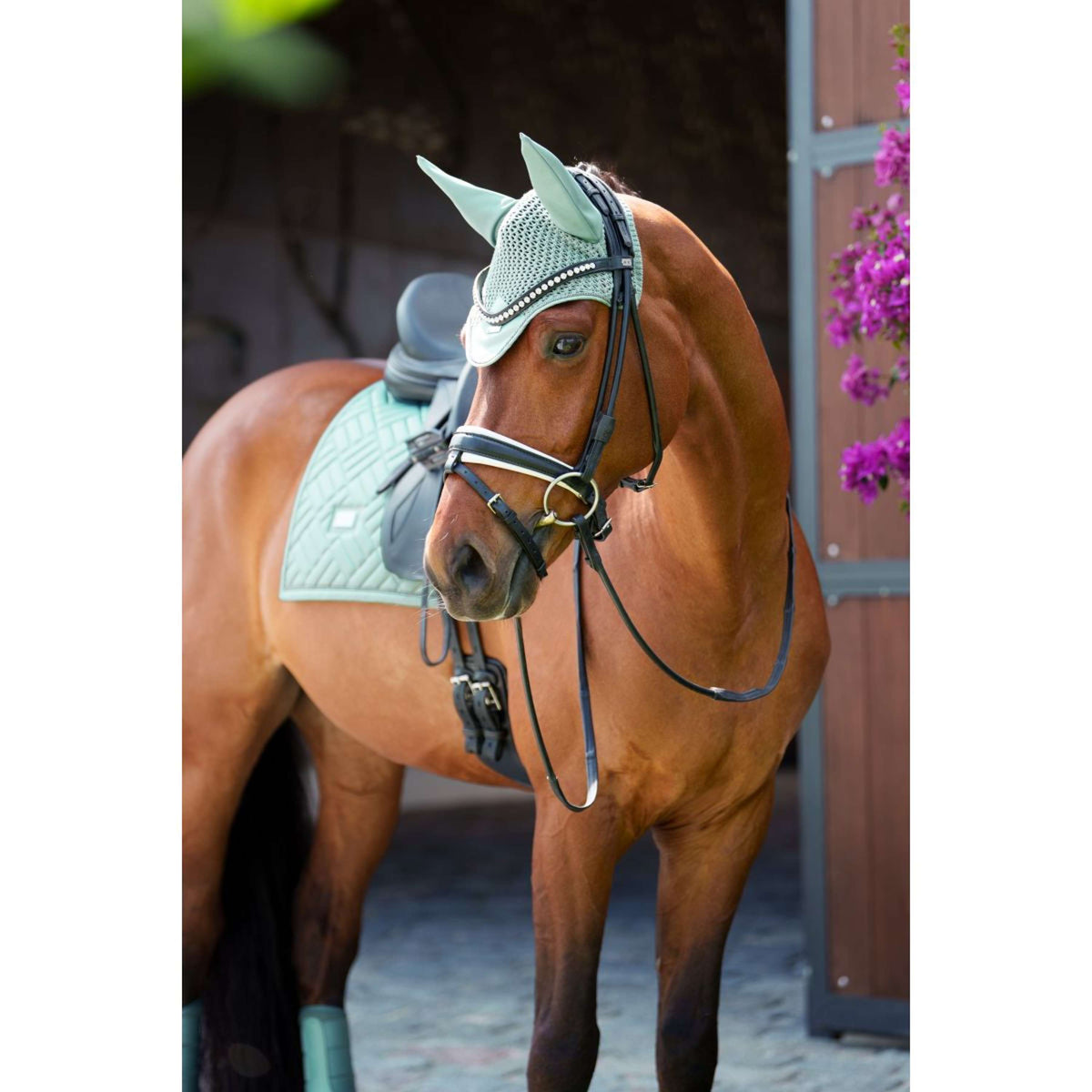 Equestrian Stockholm Mantilla Modern Doma clásica Mint Green