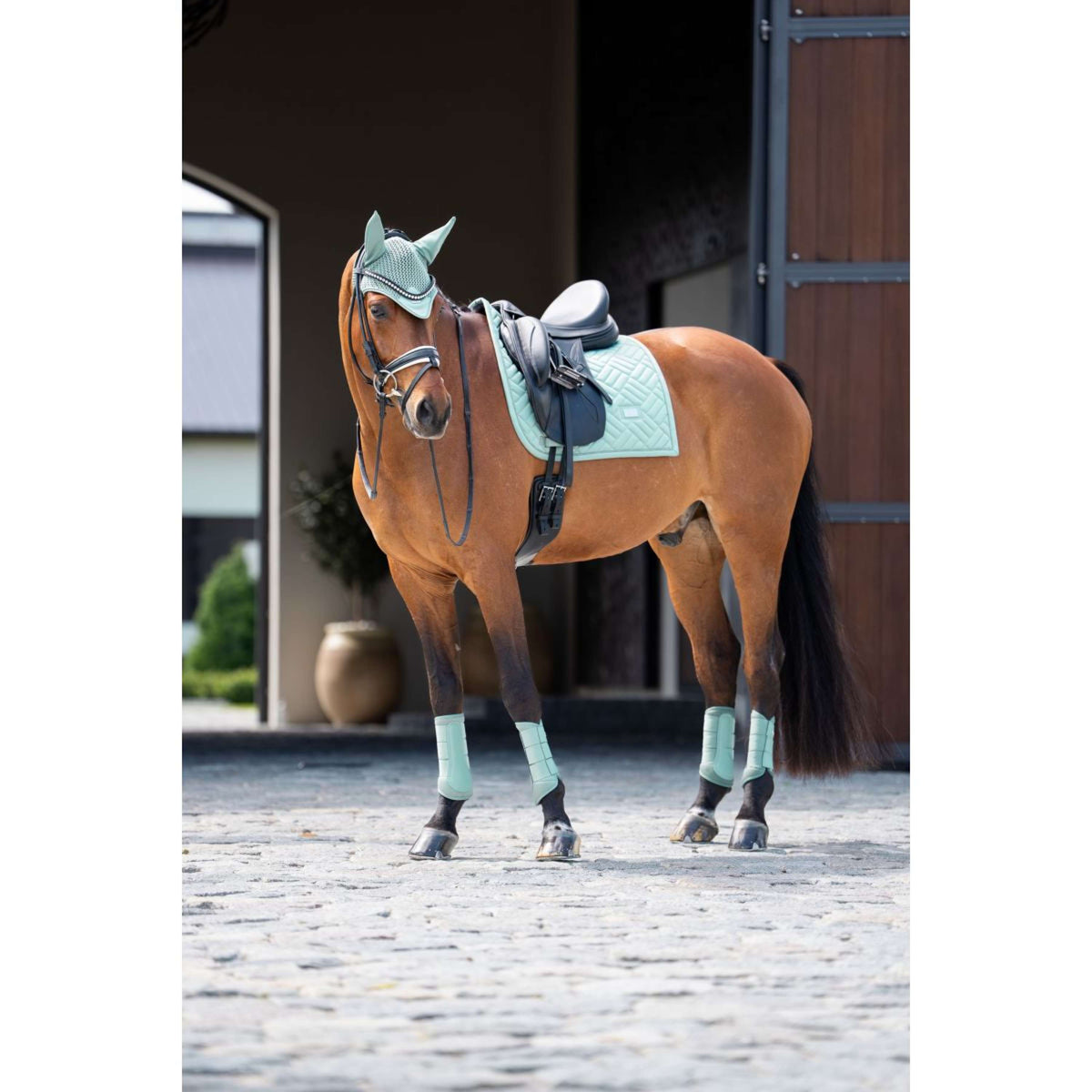 Equestrian Stockholm Mantilla Modern Doma clásica Mint Green