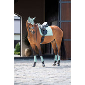 Equestrian Stockholm Mantilla Modern Doma clásica Mint Green