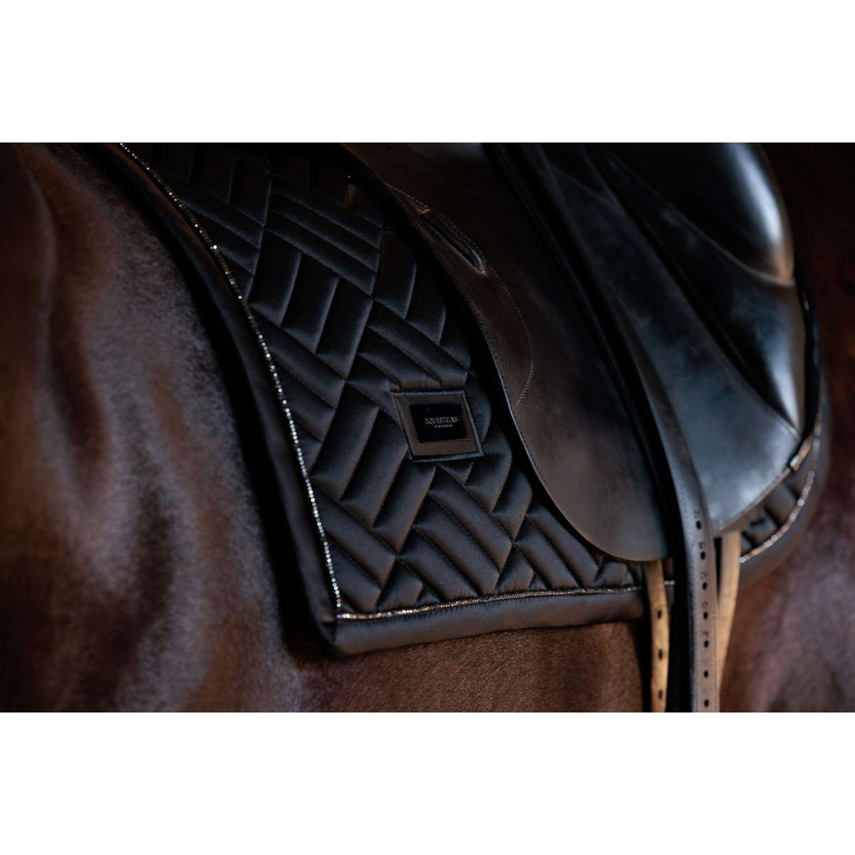 Equestrian Stockholm Mantilla Modern Doma clásica Negro