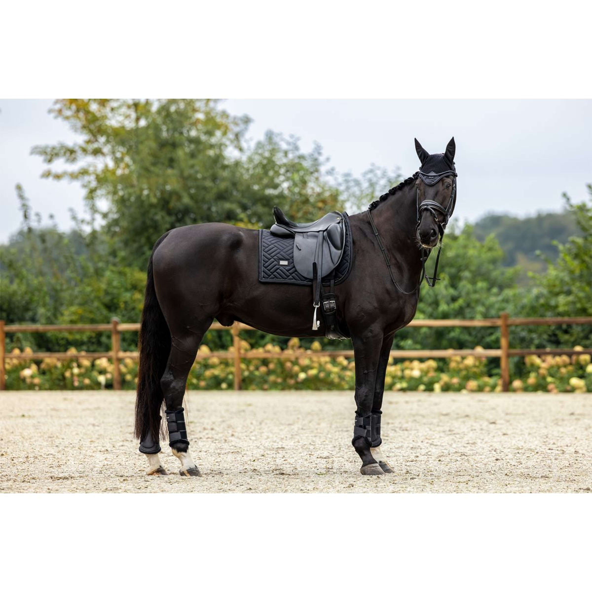 Equestrian Stockholm Mantilla Modern Doma clásica Negro