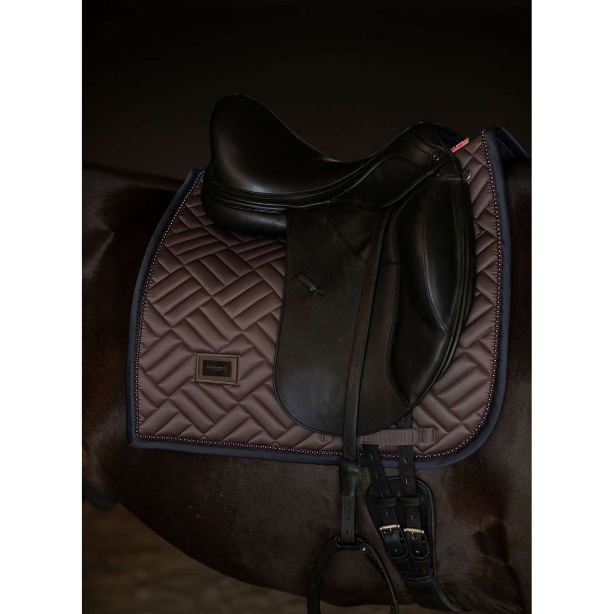 Equestrian Stockholm Mantilla Modern Doma clásica Modern Mocha