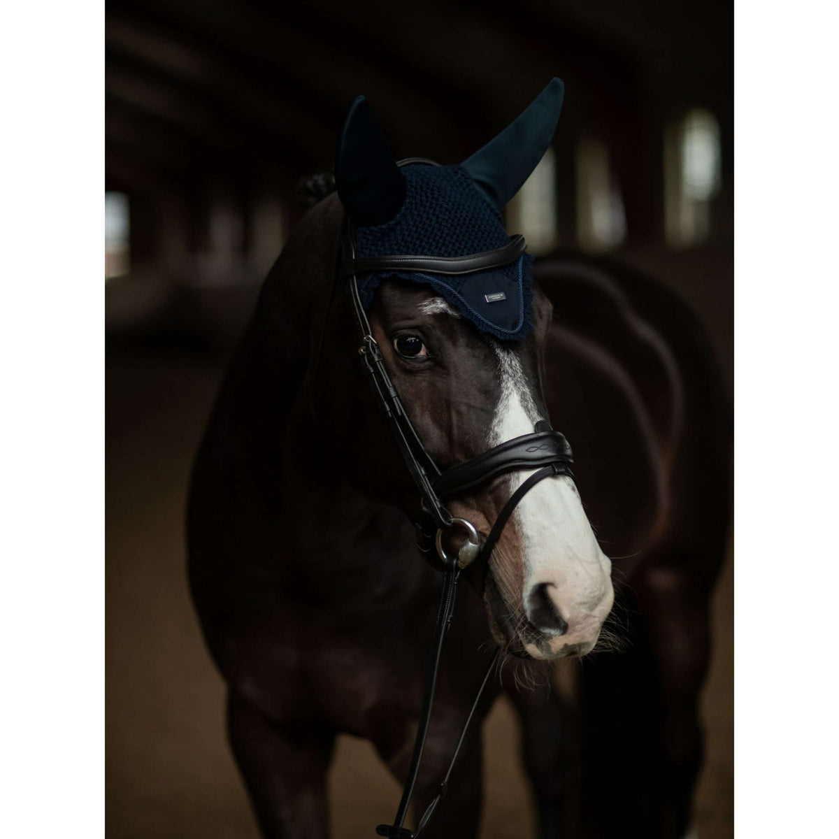 Equestrian Stockholm Bonete para Orejas Soundless Marino/Plata