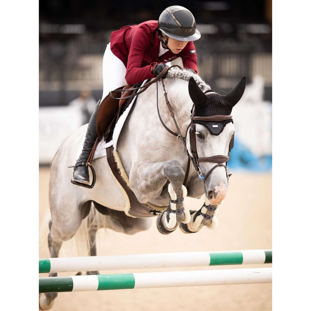 Equestrian Stockholm Bonete para Orejas Padded Negro/Plata