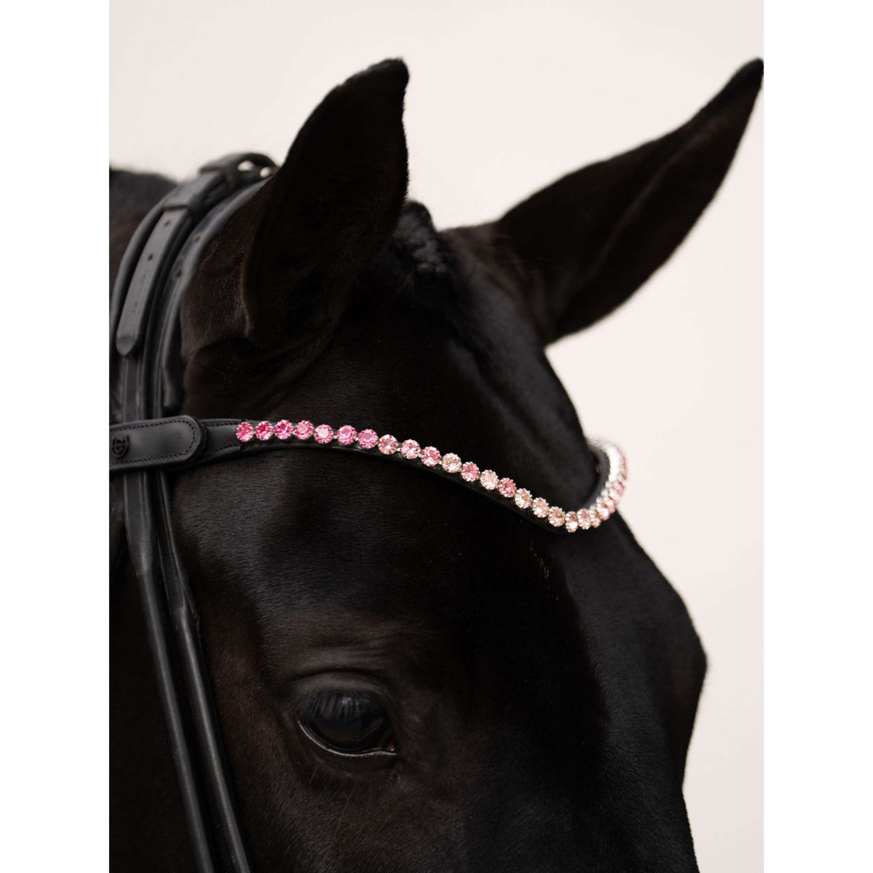 Equestrian Stockholm Frontal Faded 8mm Rosa