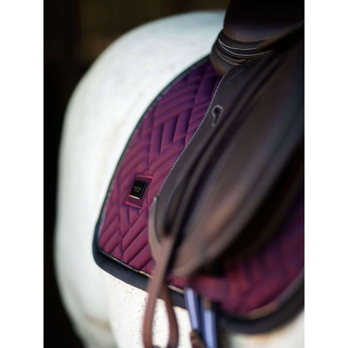 Equestrian Stockholm Mantilla Modern saltando Purple Night