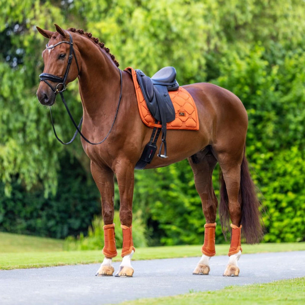 Equestrian Stockholm Mantilla Satin Doma Clásica Chestnut