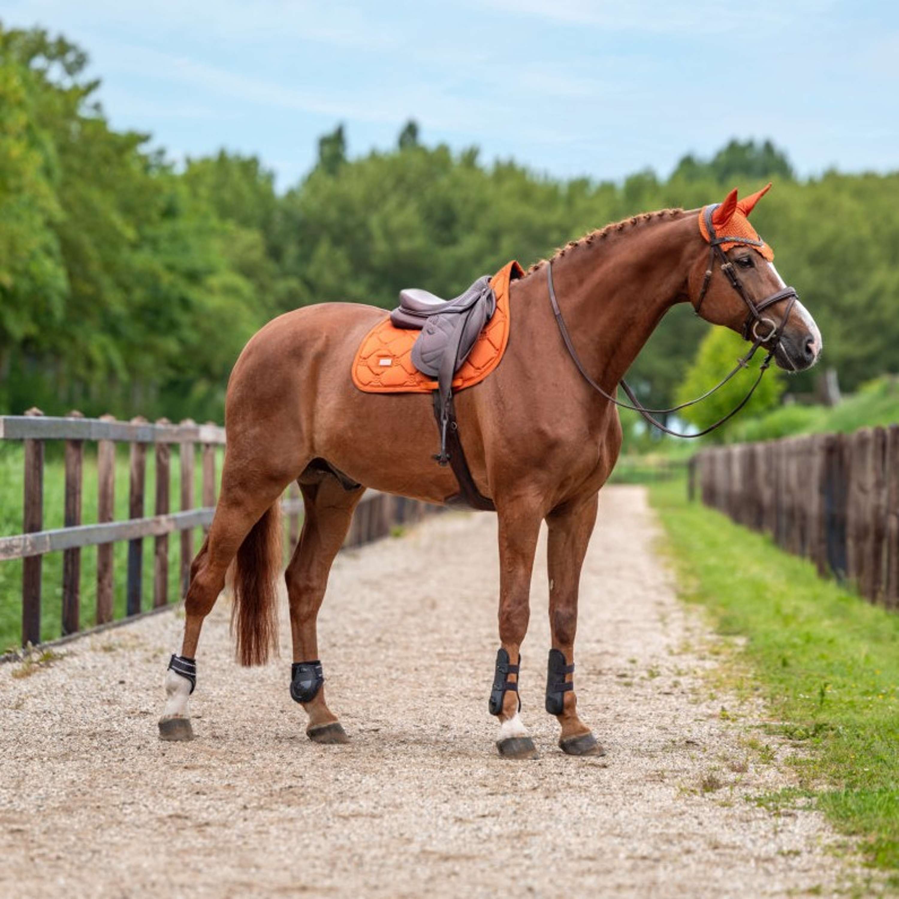 Equestrian Stockholm Mantilla Satin Saltando Chestnut
