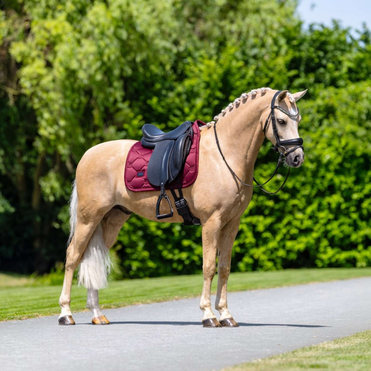 Equestrian Stockholm Mantilla Satin Doma Clásica Merlot