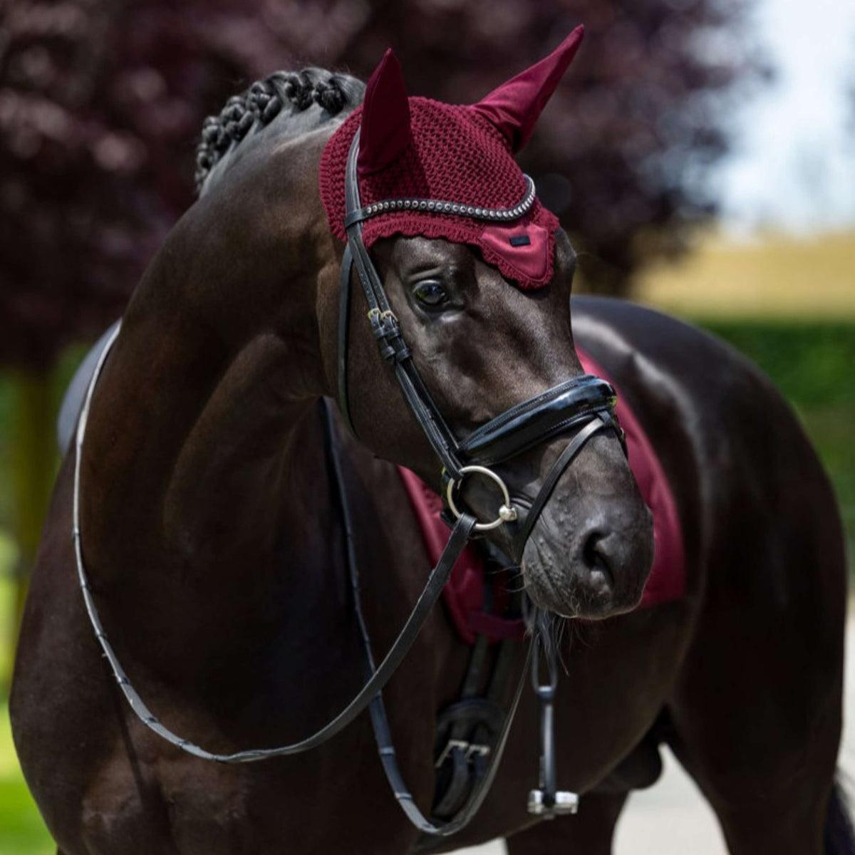 Equestrian Stockholm Bonete para Orejas Satin Merlot
