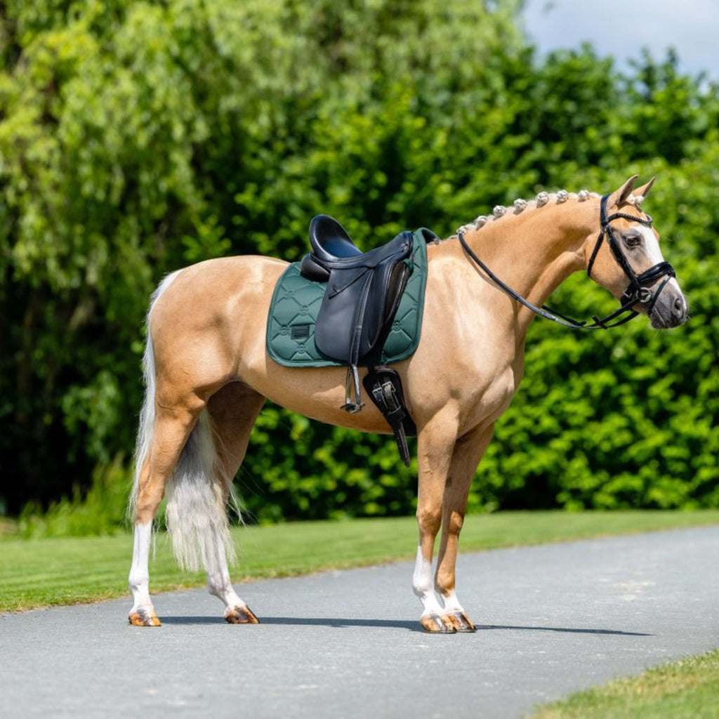 Equestrian Stockholm Mantilla Satin Doma Clásica Sycamore Green