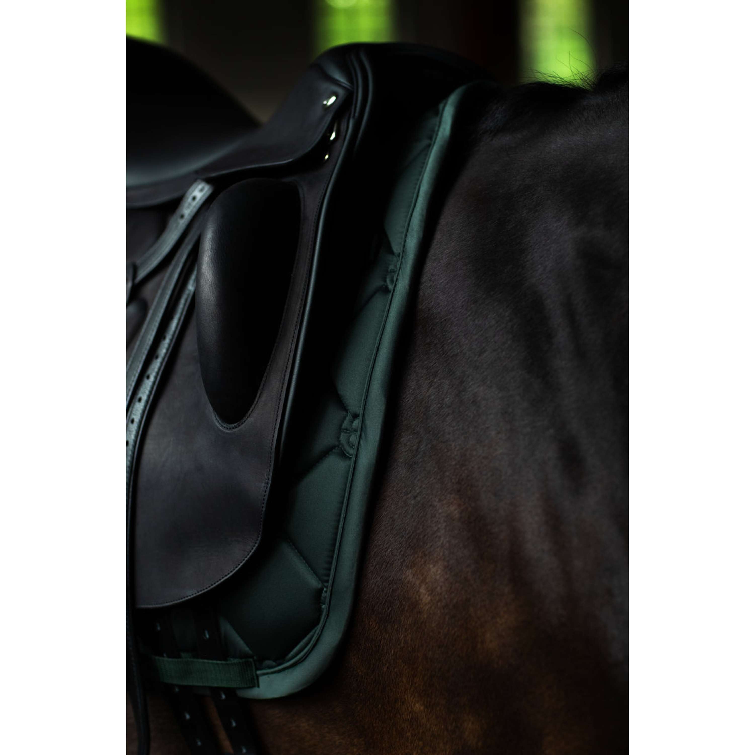 Equestrian Stockholm Mantilla Satin Doma Clásica Sycamore Green