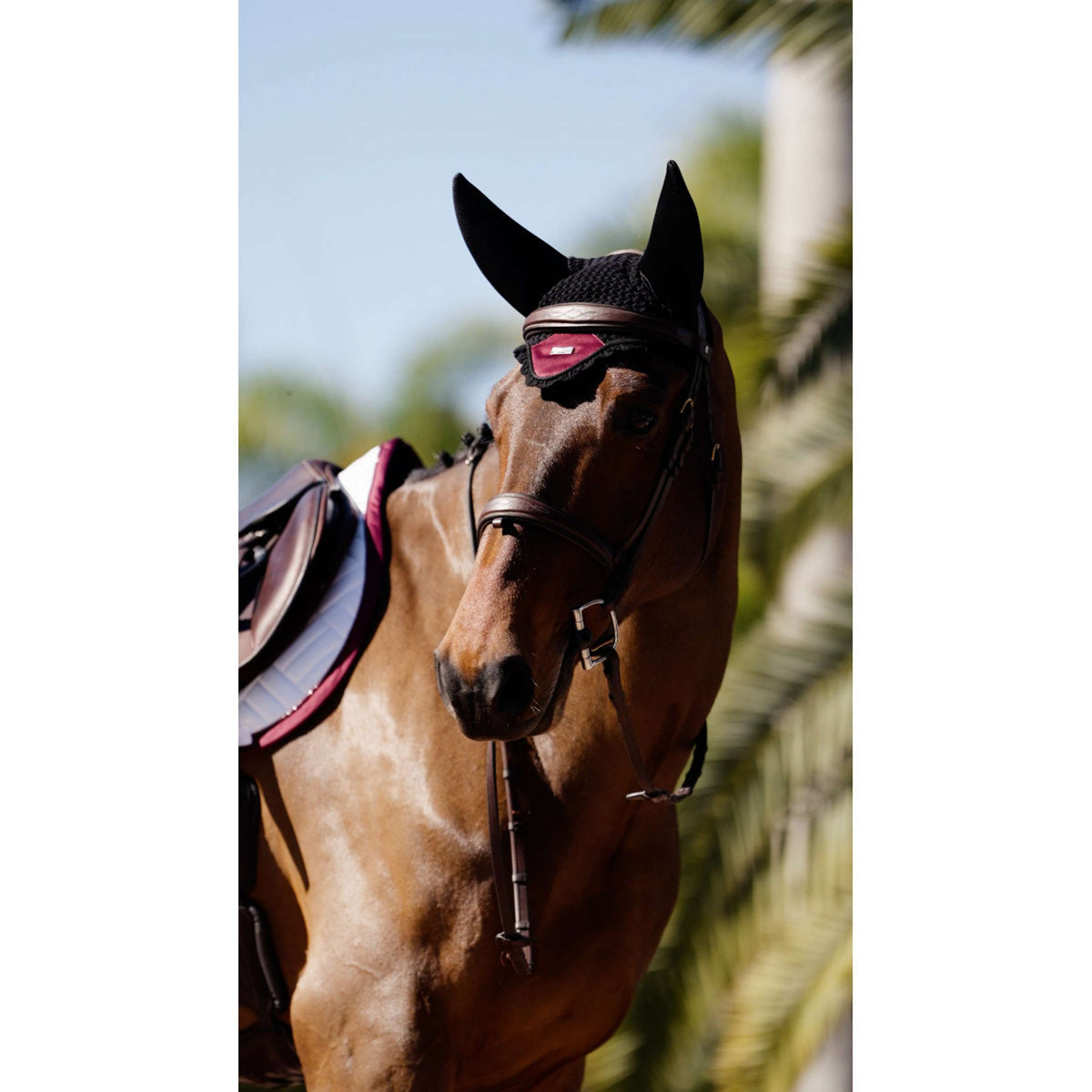 Equestrian Stockholm Bonete para Orejas Soundless Merlot