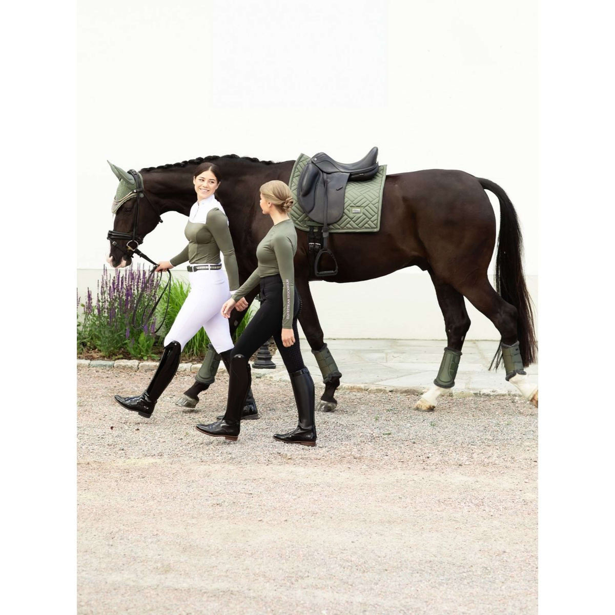 Equestrian Stockholm Mantilla Modern Doma clásica Striking Viking