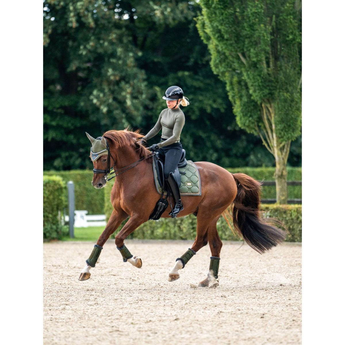 Equestrian Stockholm Mantilla Doma clásica Striking Valley