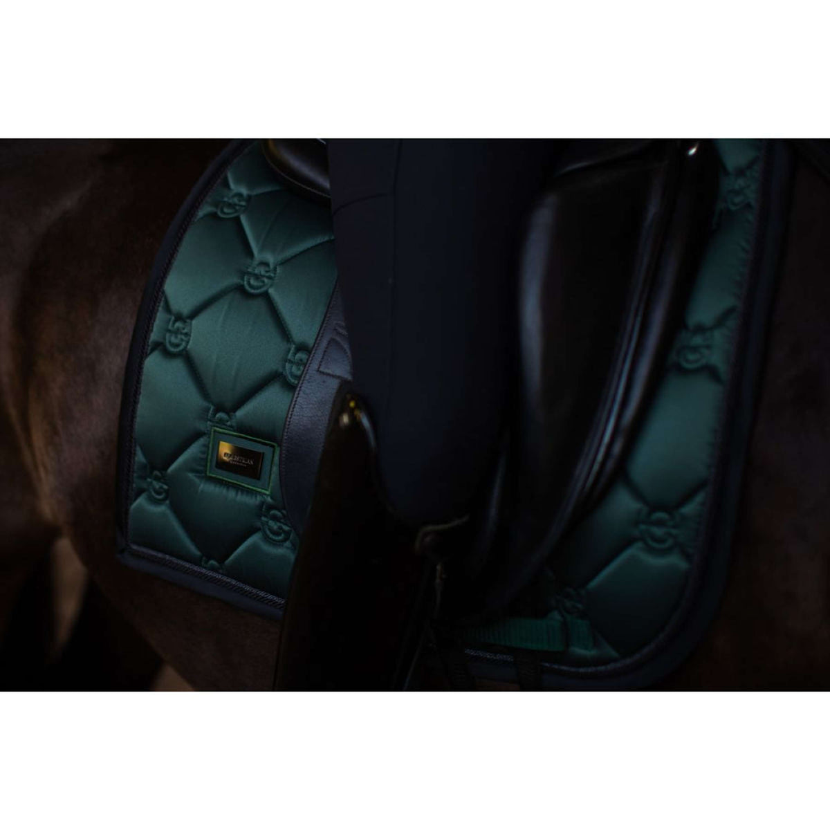 Equestrian Stockholm Mantilla Doma clásica Sycamore Green
