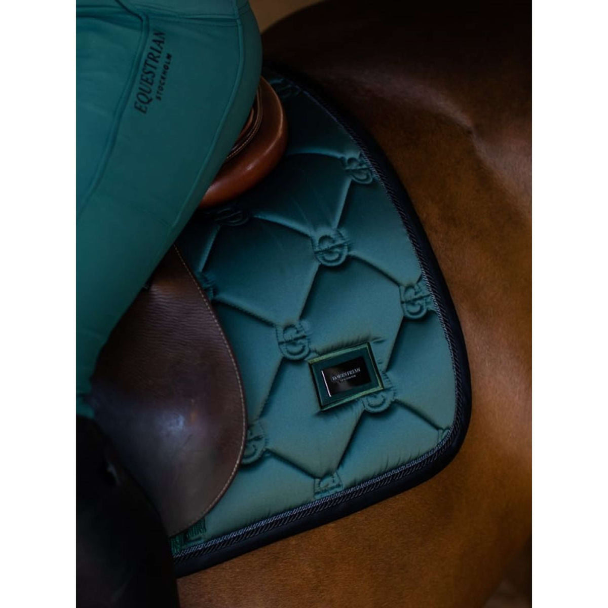 Equestrian Stockholm Mantilla saltando Sycamore Green