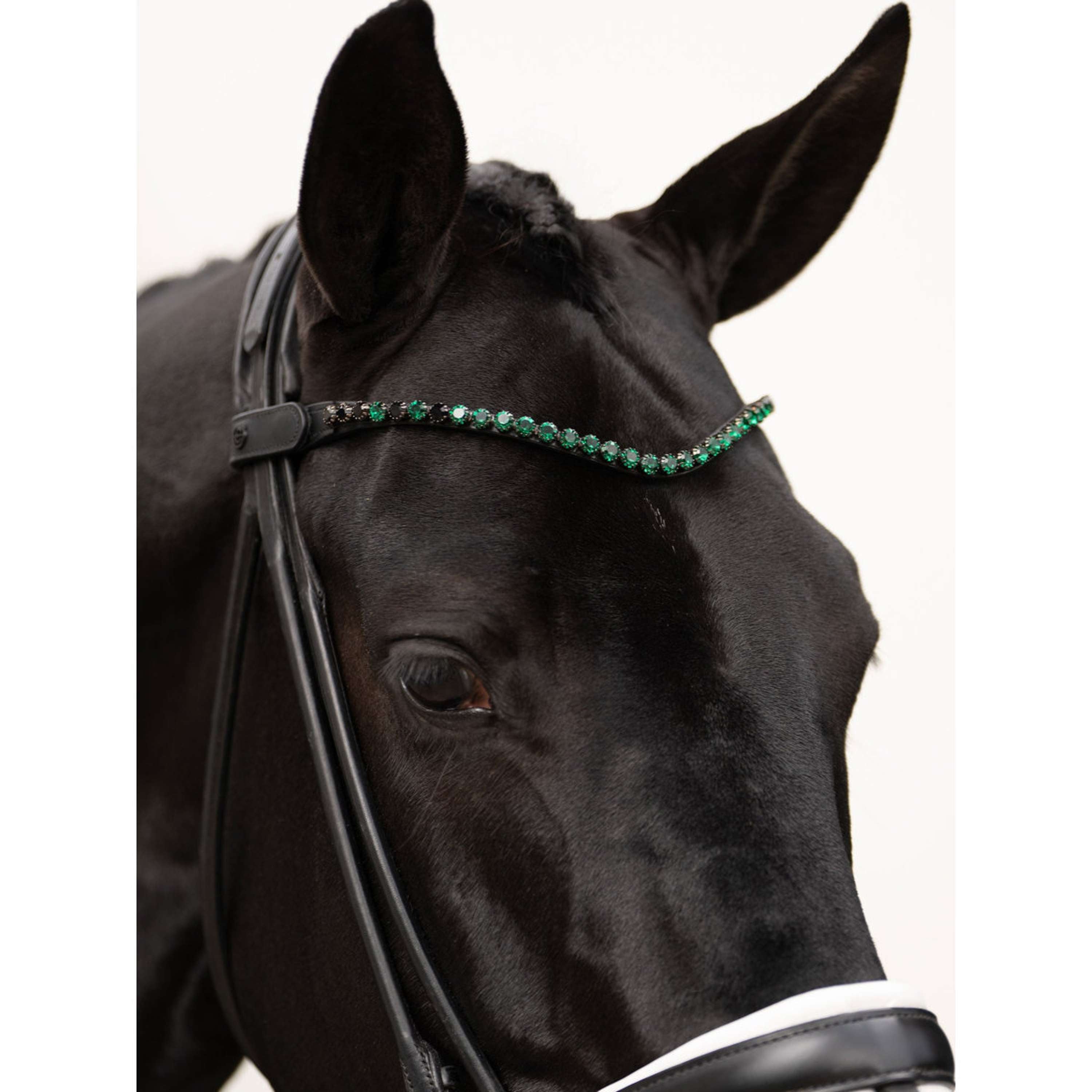Equestrian Stockholm Frontal Faded 8mm Sycamore Green