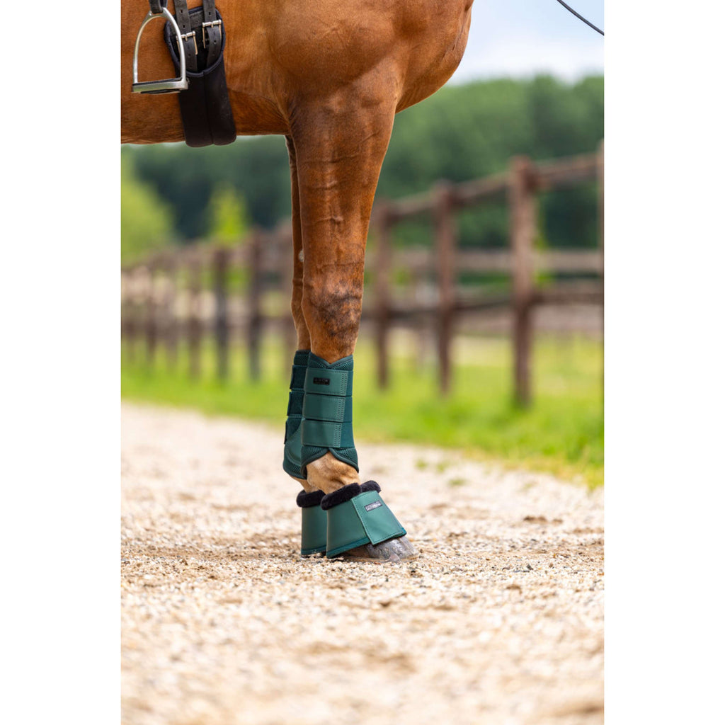 Equestrian Stockholm Botas para Caballos Sycamore Green