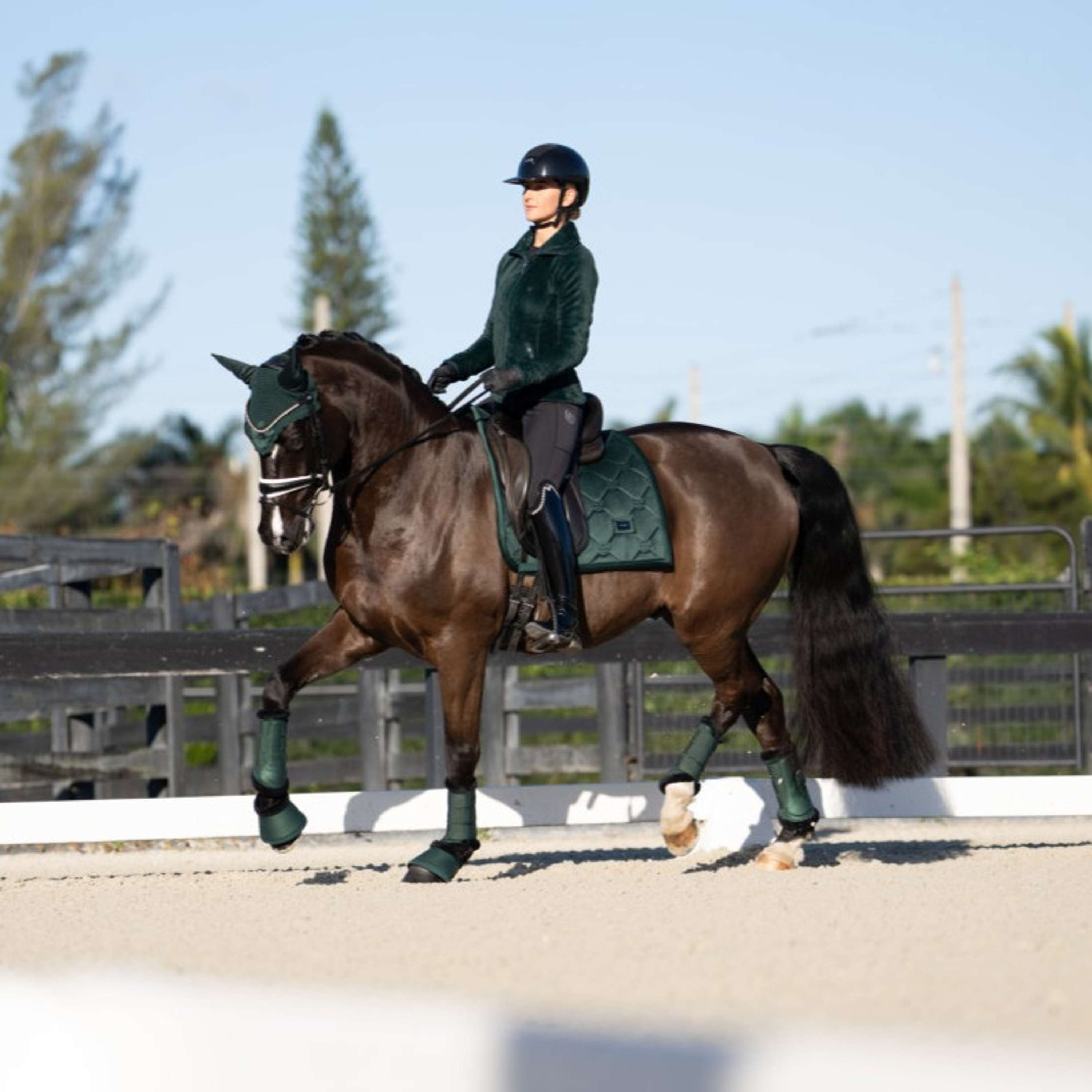 Equestrian Stockholm Botas para Caballos Sycamore Green