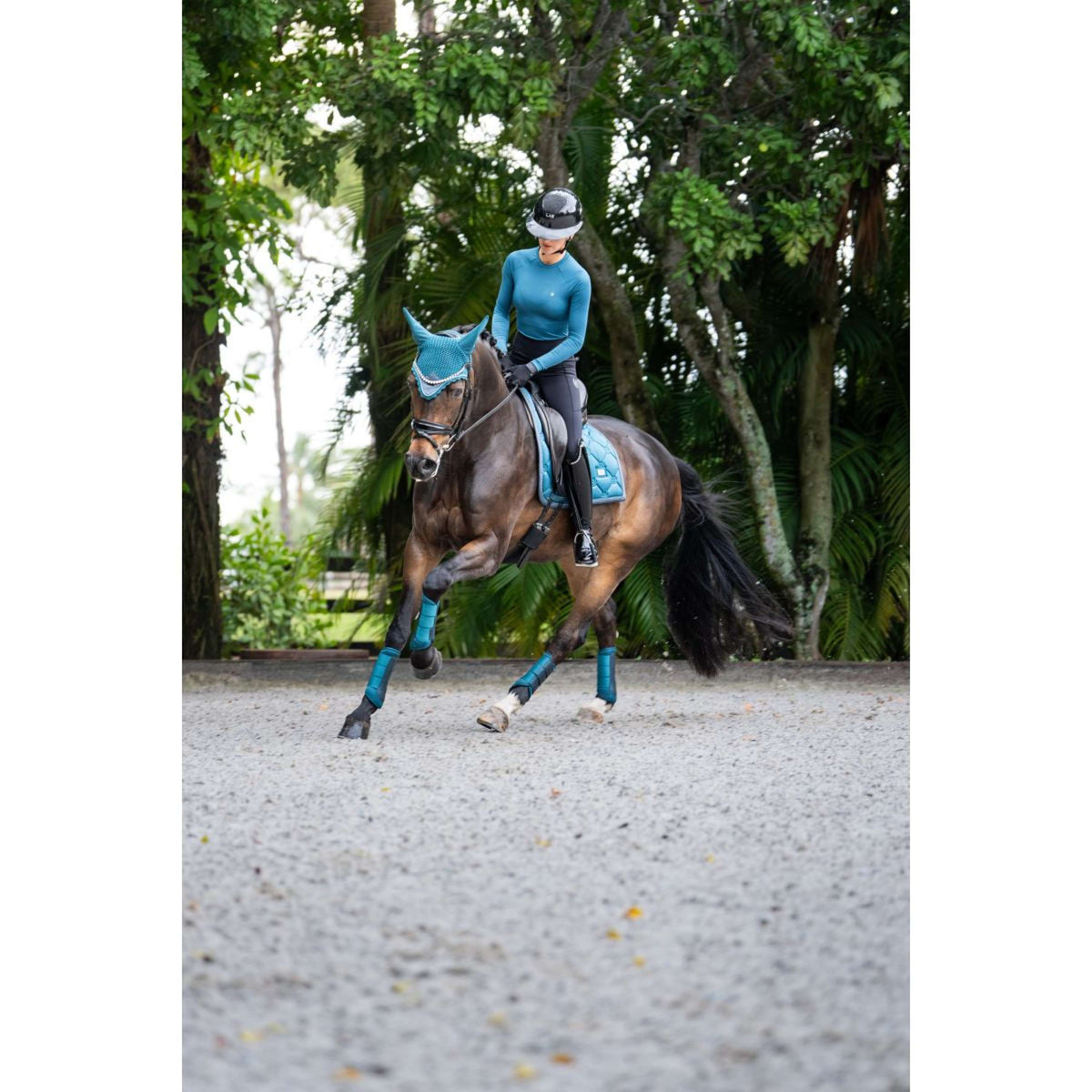 Equestrian Stockholm Bonete para Orejas Modern Teal Blue