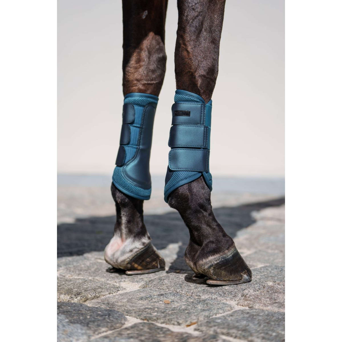 Equestrian Stockholm Protectores de piernas Classic Mesh Teal Blue