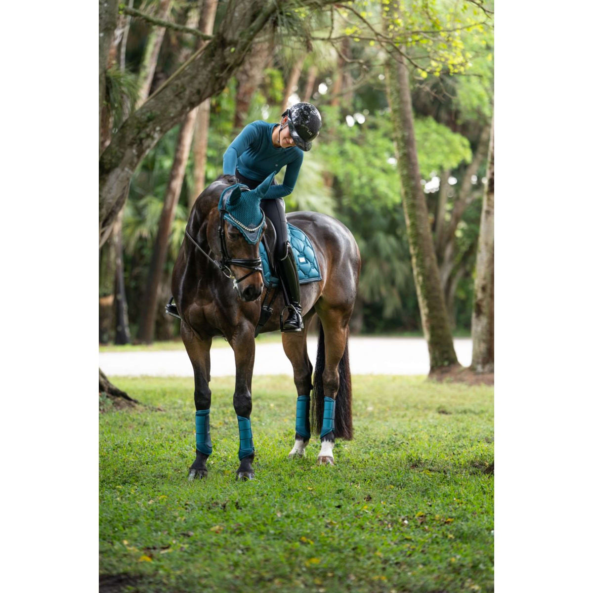 Equestrian Stockholm Protectores de piernas Classic Mesh Teal Blue