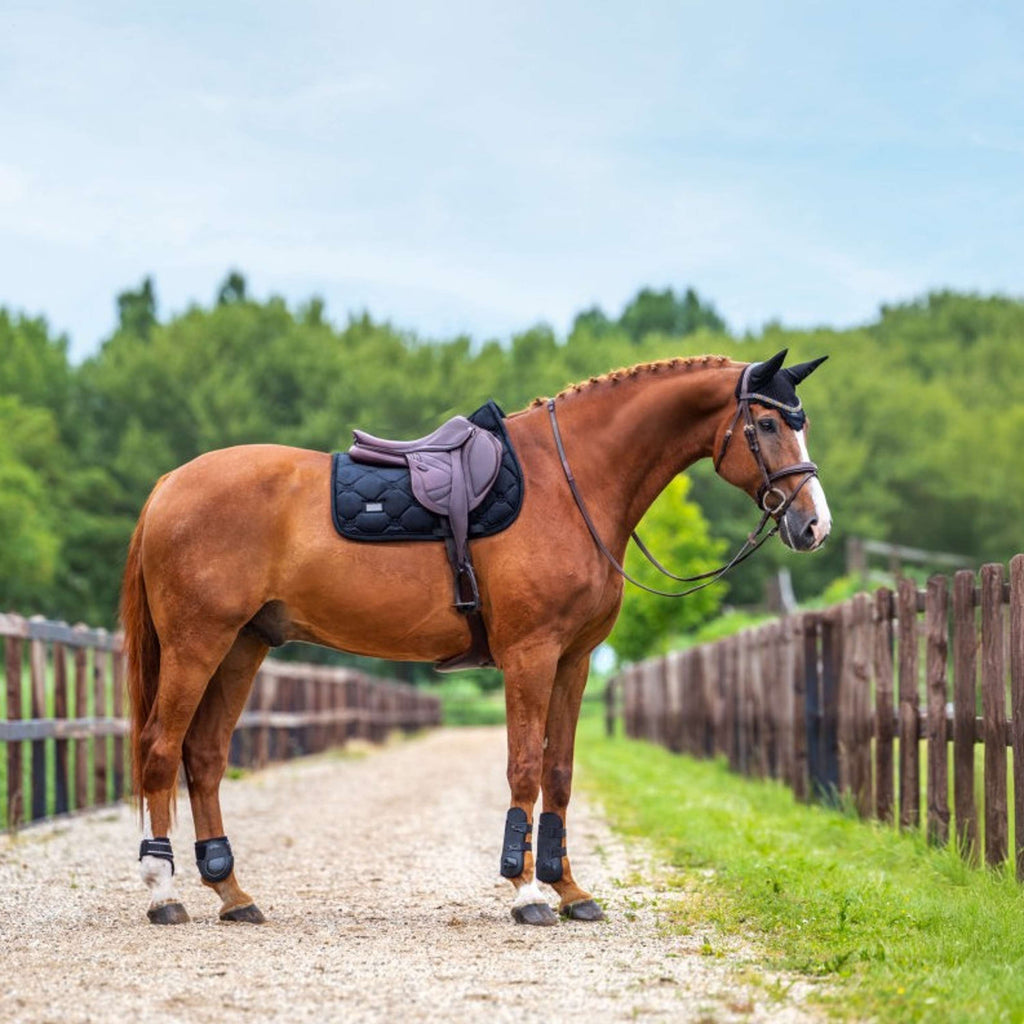 Equestrian Stockholm Mantilla Velvet Saltando Negro